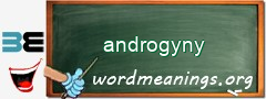 WordMeaning blackboard for androgyny